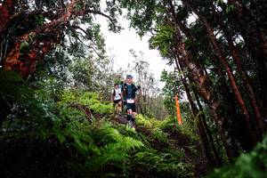 BIB: 
                            <button type="button" onclick="openModal(26202551)" class="btn btn-primary btn-sm float-right btn-popup" data-toggle="modal" data-target=".modal-high-quality">
                        <i class="fas fa-shopping-cart"></i> Add to Cart
                    </button>
                                            <button type="button" onclick="isThisMe(26202551, true)" class="btn btn-success btn-sm float-right btn-popup btn-isme hidden" data-toggle="tooltip" data-placement="bottom" title="นี่คือรูปของคุณใช่ไหม คลิกที่นี่เพื่อเอาเข้าอัลบั้ม">
                        <i class="fas fa-plus"></i> Add to album
                    </button>
                    <button type="button" onclick="isThisMe(26202551, false)" class="btn btn-warning btn-sm float-right btn-popup btn-isnotme hidden">
                        <i class="fas fa-ban"></i> Remove from album
                    </button>